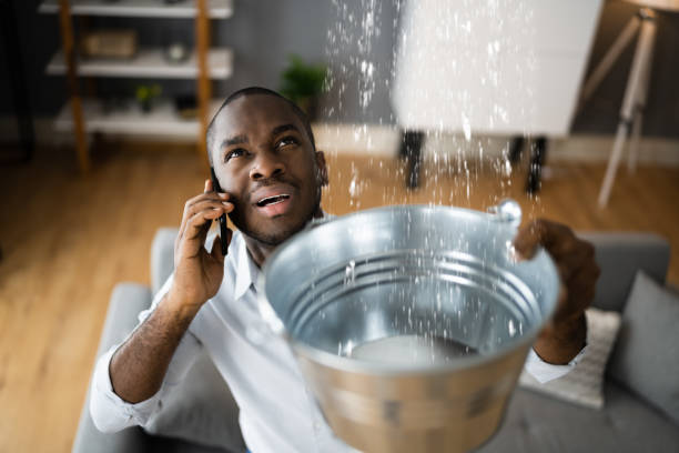 Best Local water damage restoration  in Fayette, IA