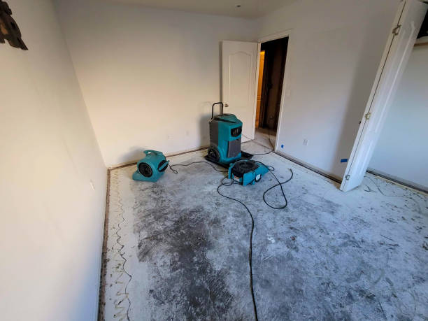 Best Emergency water damage restoration  in Fayette, IA