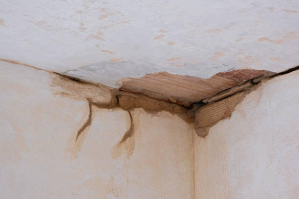 Best Carpet water damage restoration  in Fayette, IA