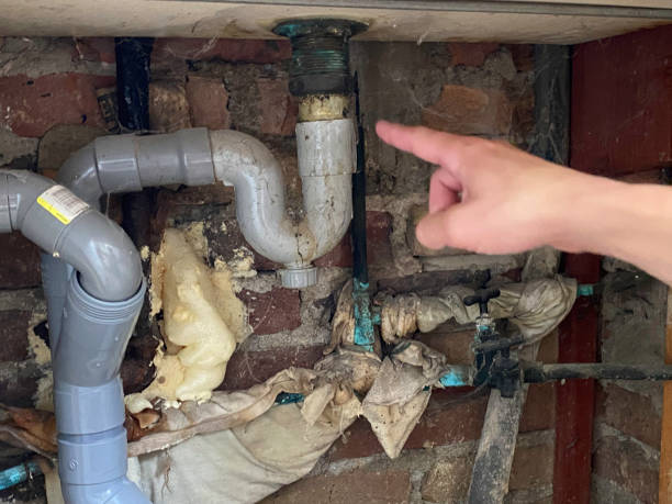 Best Mold removal after water damage  in Fayette, IA